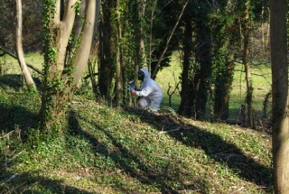  Escondido en el bosque 